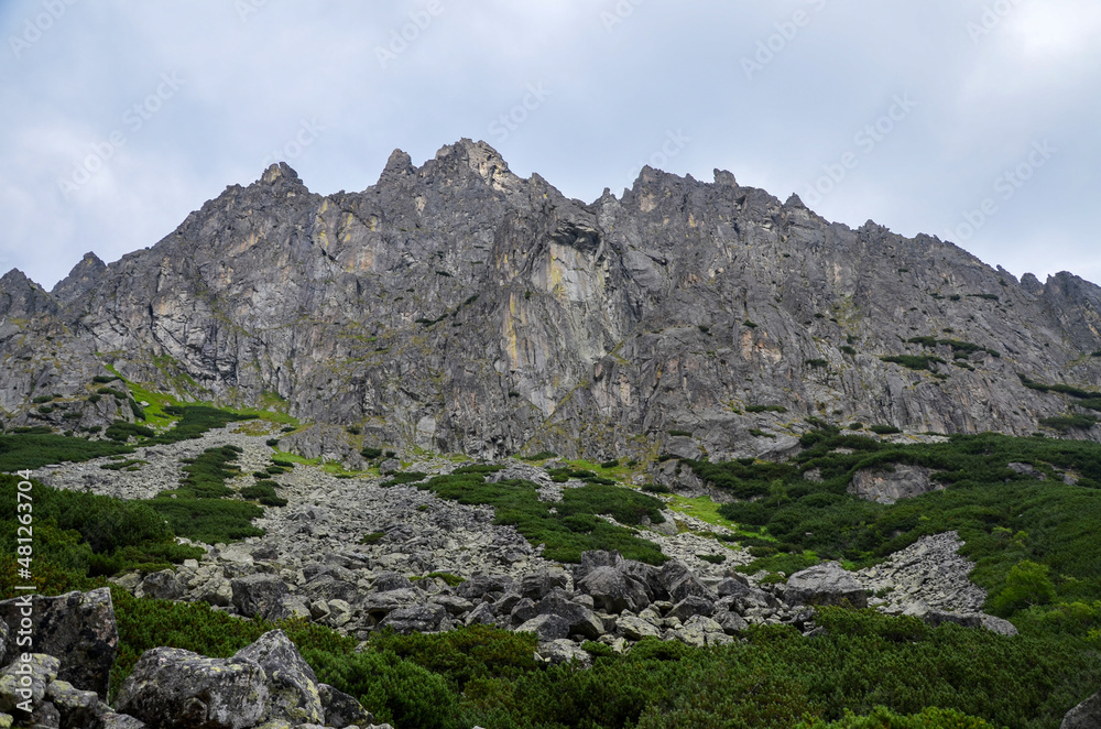 The image shows peaks and slopes with pine and limestone rocks of the High Tatra mountains in northern Slovakia