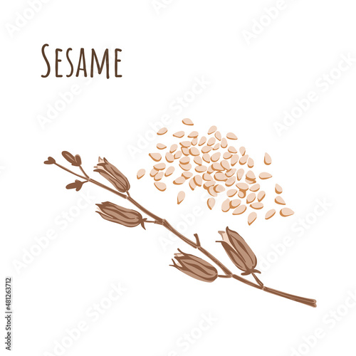 Sesame seeds seasoning and dried branch.