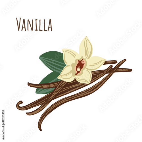 Vanilla sticks spice and flower