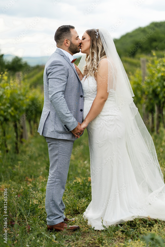 Wedding concept bride and groom man and woman kissing in the field celebrating happy after the marriage ceremony Wedding concept bride and groom man and woman kissing in the field celebrating happy after the marriage ceremony