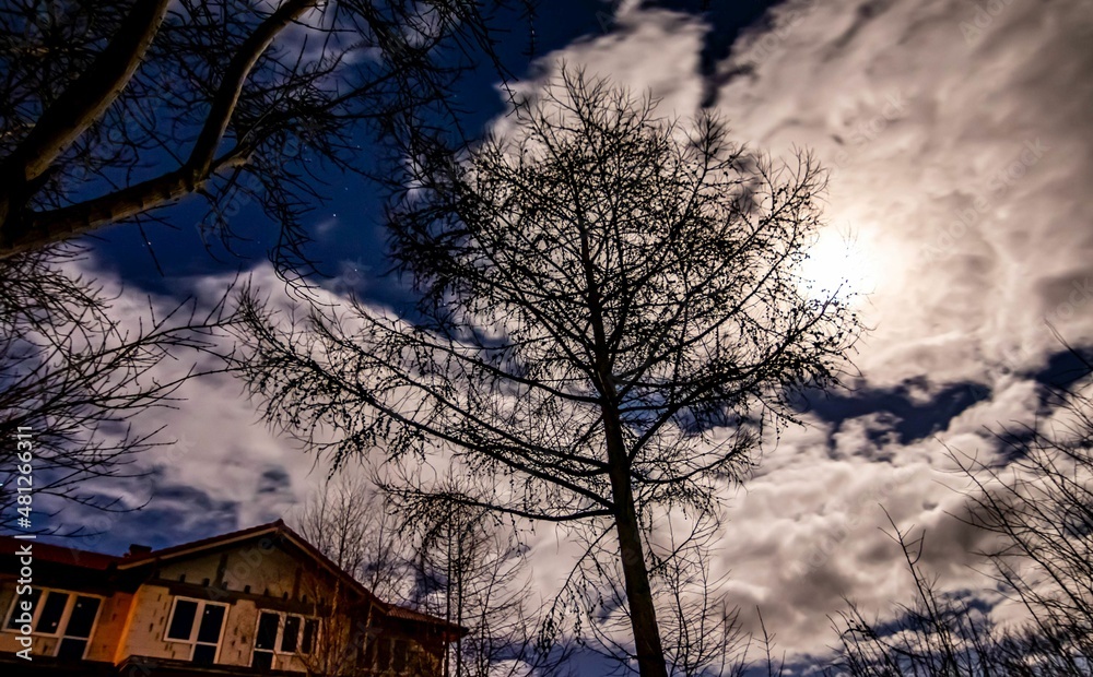 Moon light Night