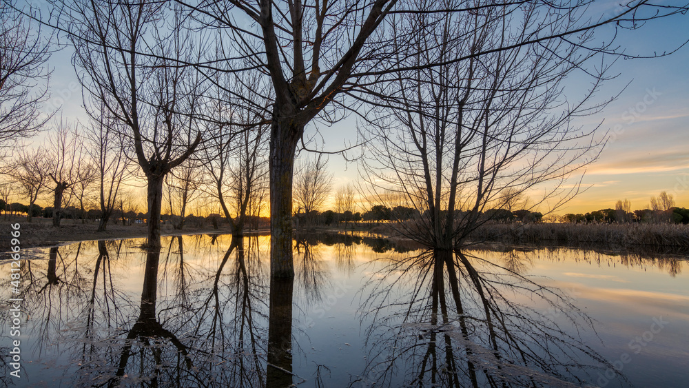Atardecer en la laguna de Sisones, Leganés, Comunidad de Madrid. Atardecer en la laguna de Sisones, Leganés, Comunidad de Madrid.