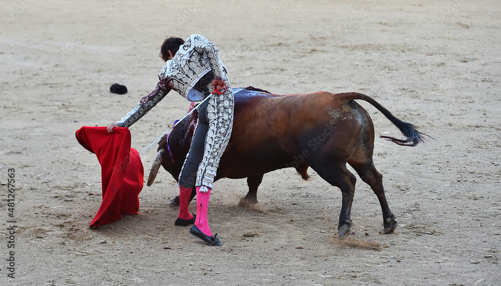 un espectaculo de toreo en una plaza de toros un espectaculo de toreo en una plaza de toros