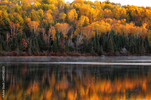 autumn trees reflected in water Algonquin Park Ontario