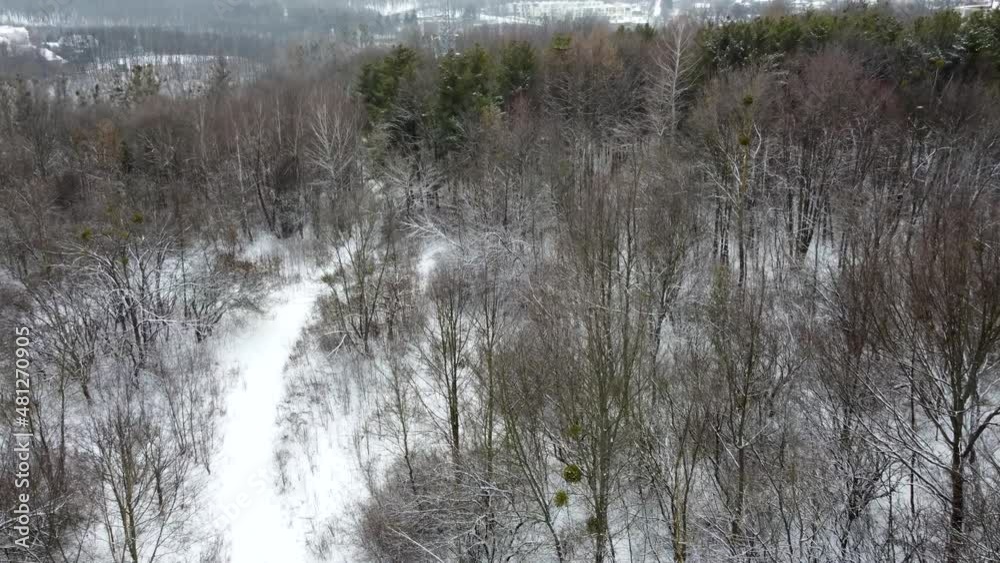 Fly above walking path in forest. Bare trees top aerial view, forest covered in white snow. Winter cold natural background Fly above walking path in forest. Bare trees top aerial view, forest covered in white snow. Winter cold natural background