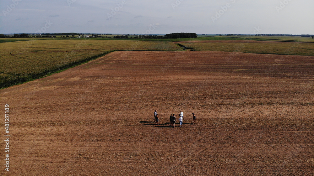 Fototapeta premium in the field