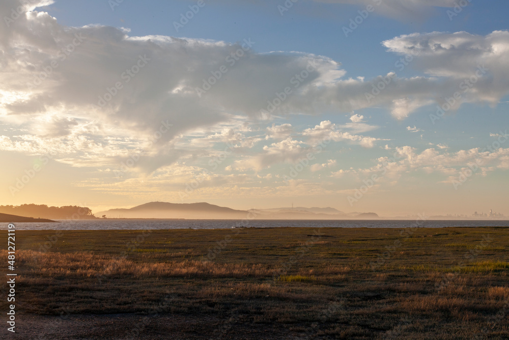 Wetlands with Grasses and Distant Mountain Range Across Bay, CA