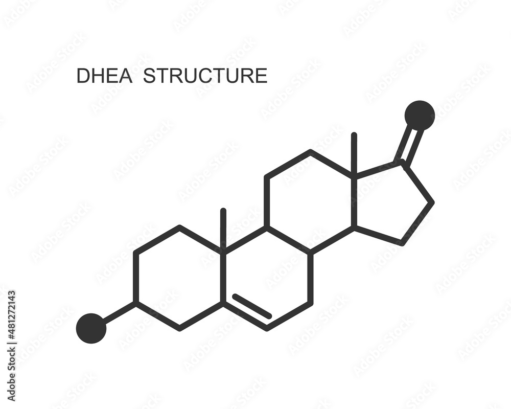 DHEA icon isolated on white background. Dehydroepiandrosterone hormone chemical molecular structure sign. Vector outline illustration. DHEA icon isolated on white background. Dehydroepiandrosterone hormone chemical molecular structure sign. Vector outline illustration.