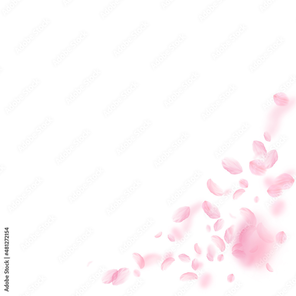 Sakura petals falling down. Romantic pink flowers corner. Flying petals on white square background. Love, romance concept. Unusual wedding invitation.