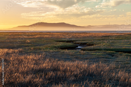 Wetlands with Rivulet and Distant Mountain Range at Sunset  CA