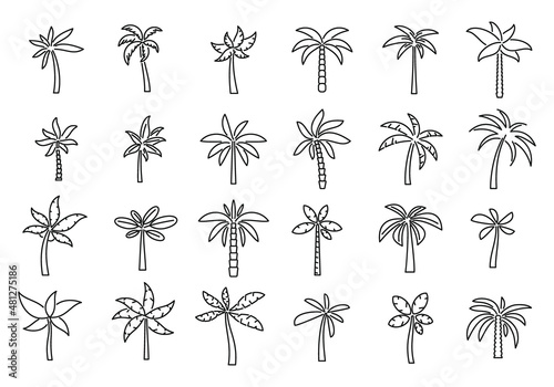 Palm icons set outline vector. Hawaii tree