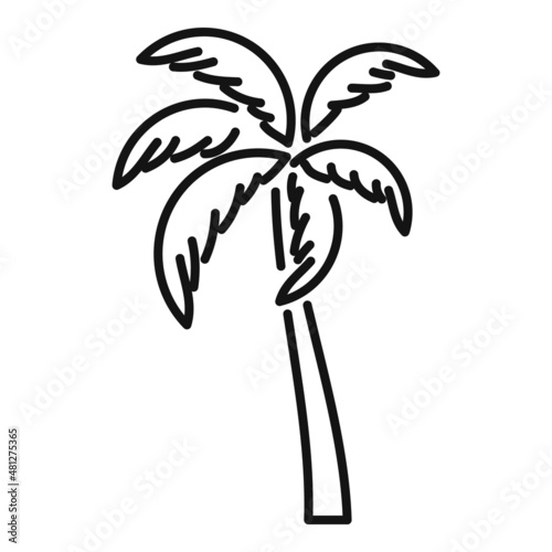 Coco palm tree icon outline vector. Summer plant