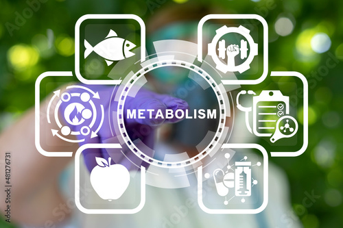 Metabolism Medical Concept. Diet Nutrition Immunity Human Health. Human Comprehensibility Metabolic Syndrome. photo