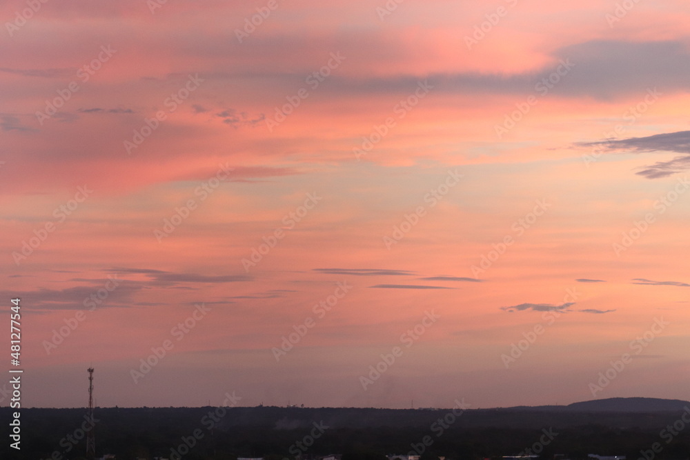 Beautiful late afternoon with sunset in colorful sky in shades of pink and orange taken in selective focus and macro photography.