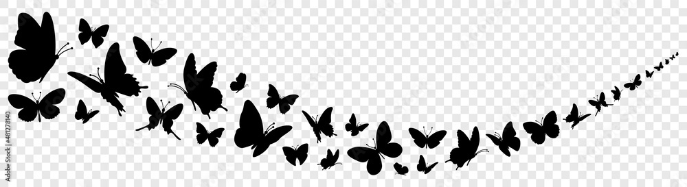 Butterfly swirl. Black flying butterflies vector silhouette illustration - obrazy, fototapety, plakaty 
