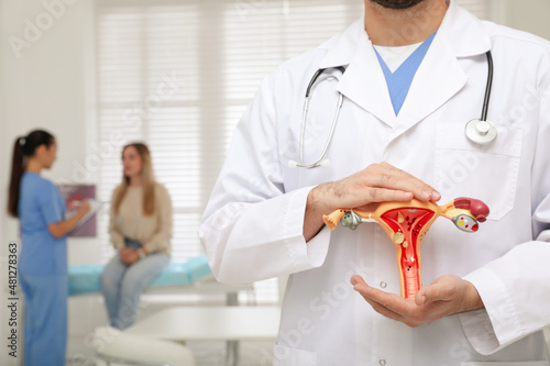 Gynecologist demonstrating model of female reproductive system in clinic, closeup photo