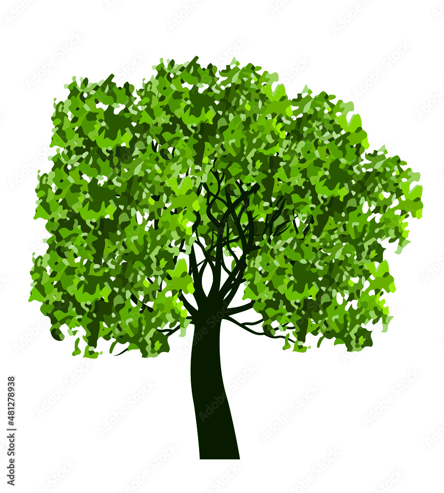 Fototapeta premium Green Tree. Vector outline Illustration. Plant in Garden and landscape element.