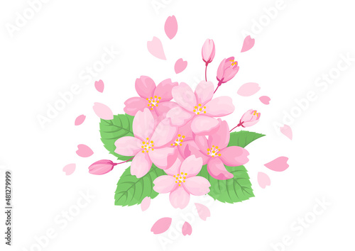桜の花のイラスト 白背景に挿絵 春のデザイン用ベクターイラスト