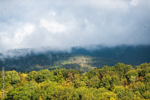 Morning yellow sunrise fog mist clouds sky weather and golden fall autumn foliage season on road to Dolly Sods, West Virginia mountains near Wardensville, WV