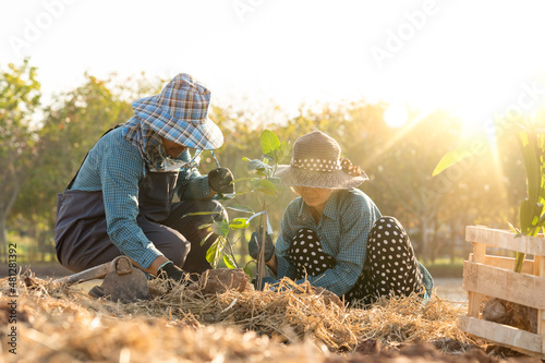People planting the tree in garden of countryside