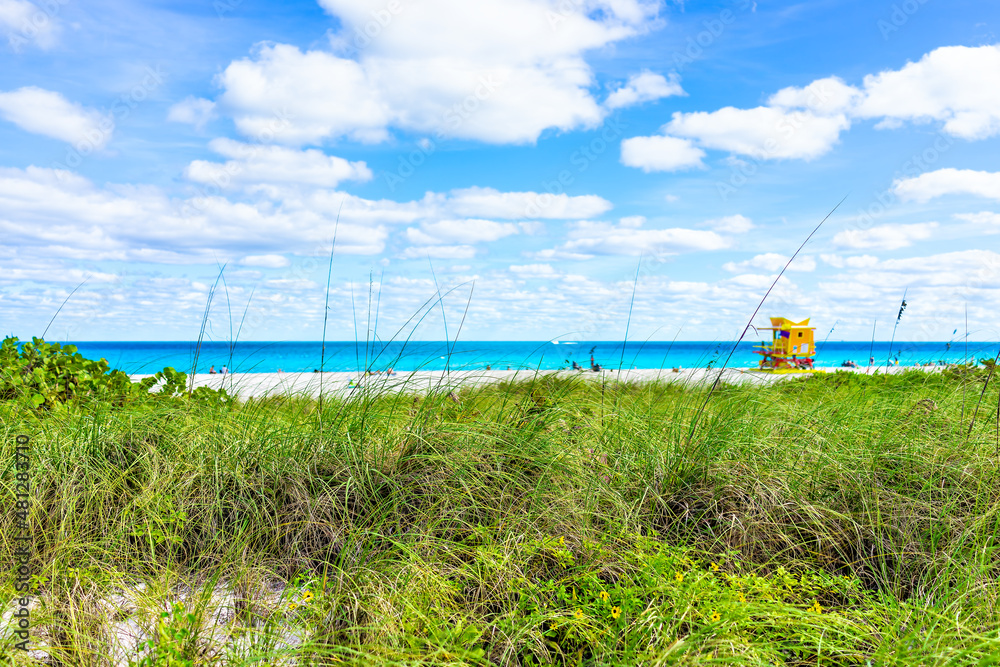 Miami South Beach lifeguard building along ocean coast sunny blue sky clouds in Florida day with people in background by turquoise colorful water color and grass landscape Miami South Beach lifeguard building along ocean coast sunny blue sky clouds in Florida day with people in background by turquoise colorful water color and grass landscape