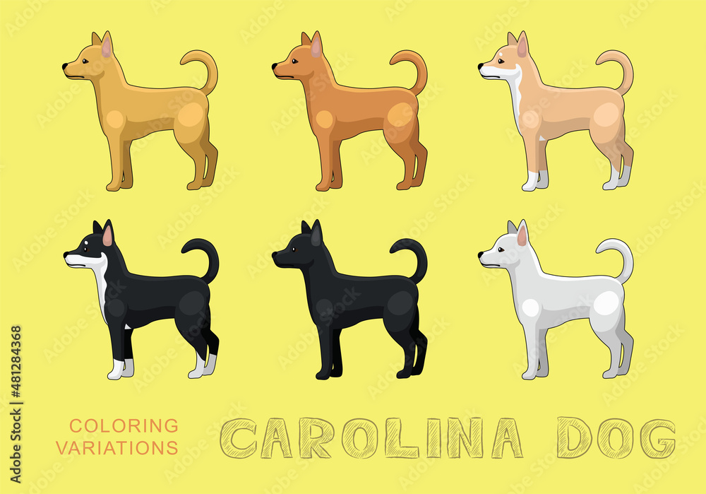 Dog Carolina Dog Coloring Variations Cartoon Vector Illustration