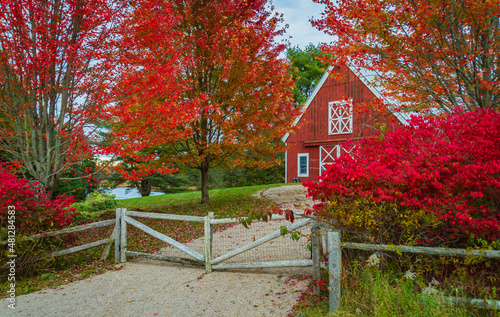 bright red barn and bright red foliage at a Maine farm
