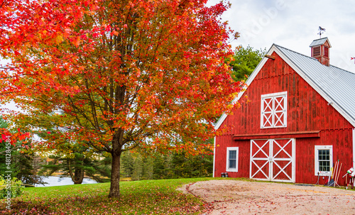 Fotografia bright red barn and bright red foliage at a Maine farm