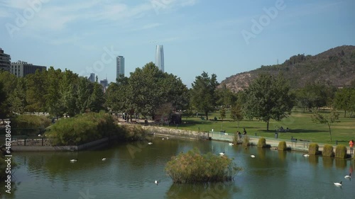 A group of swans in Bicentenario Park pond with modern skyline and hills in background at daytime, Santiago, Chile photo