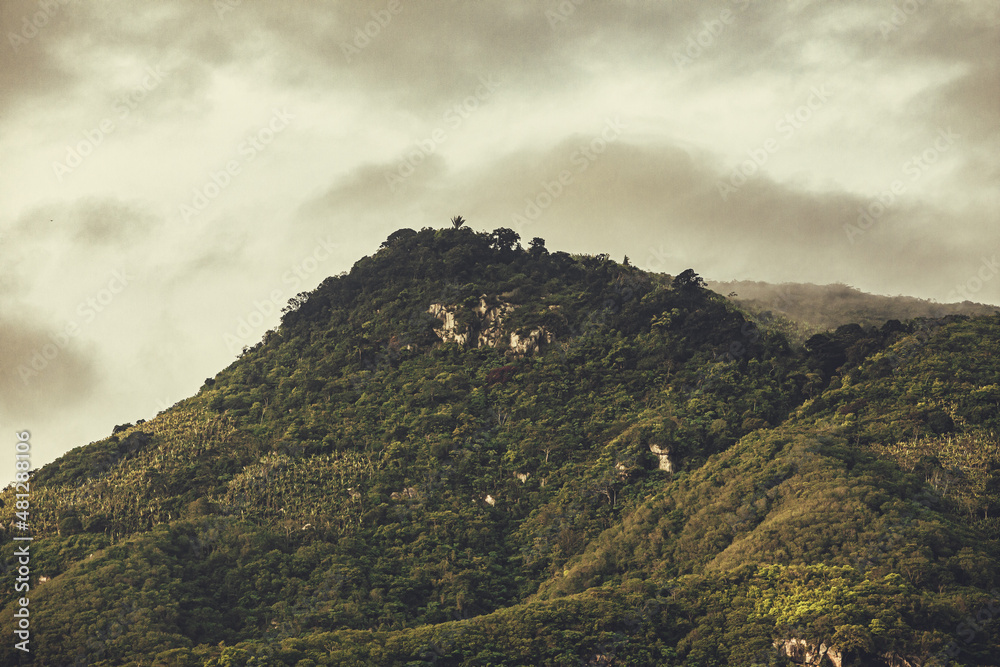 Fototapeta premium green mountain