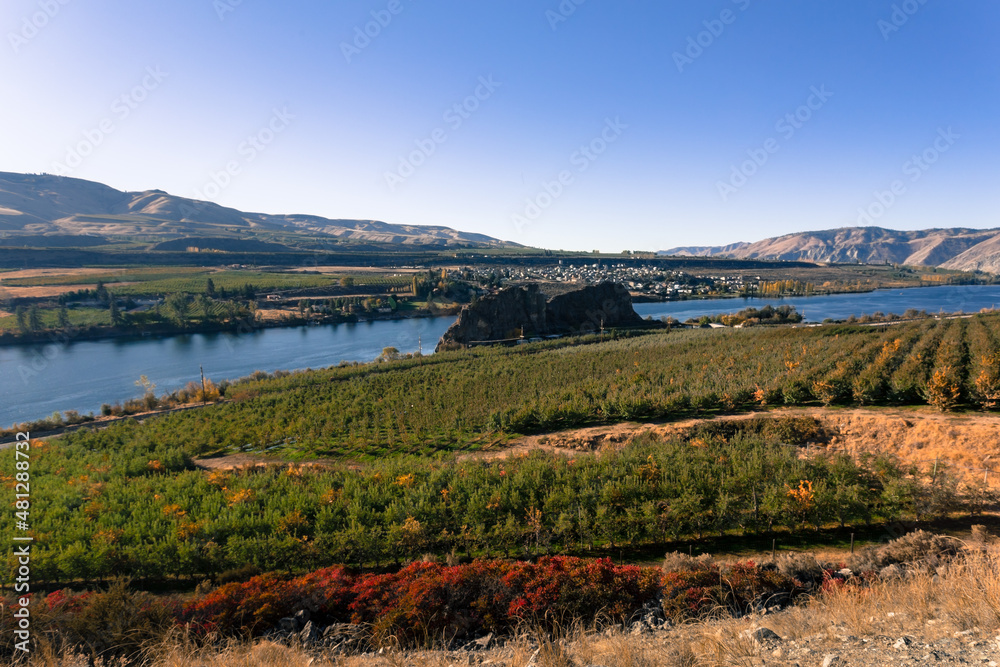 Naklejka premium Lake Chelan plant fields in a beautiful autumn day. Chelan, Washington