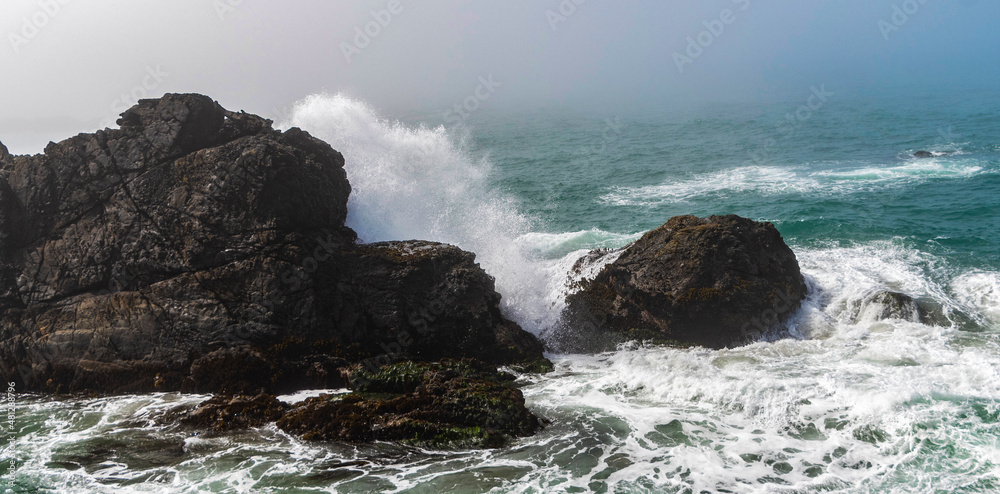 Fototapeta premium Crashing waves on the Pacific Coast at Sea Ranch, CA