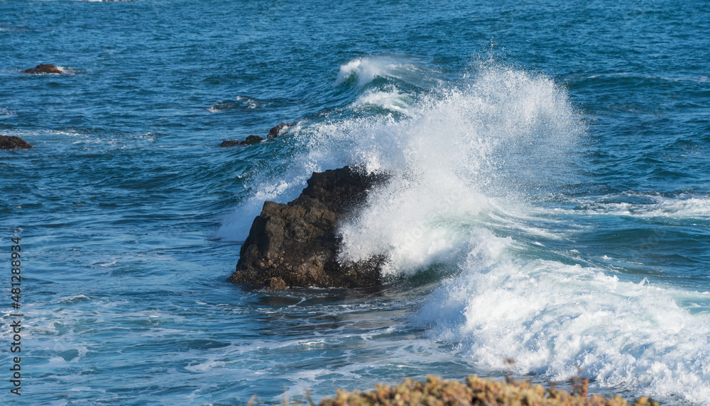 Crashing waves on the Pacific Coast at Sea Ranch, CA