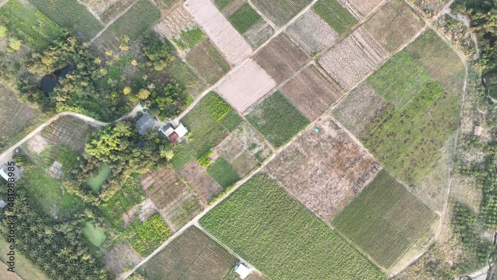 flying over framing space pine forest in country road bird eye view 4k stock footage flying over framing space pine forest in country road bird eye view 4k stock footage
