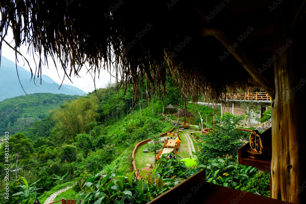 view of mountains with beautiful green trees in one of the natural attractions in Pasuruan, Indonesia