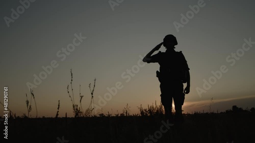 Silhouette of soldier saluting during sunset on field, war and army concept.