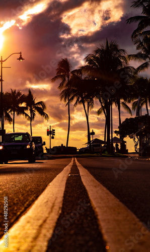 Hawaii Sunset Palm Tree Silhouette from Street © David