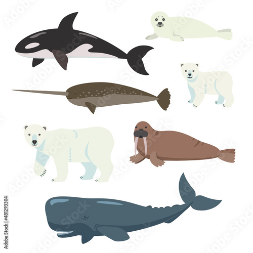 Set of cartoon polar animals, whales and bears isolated on white background