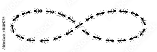 Ants path shaping infinity sign. Black ant trail isolated in white background. Vector illustration