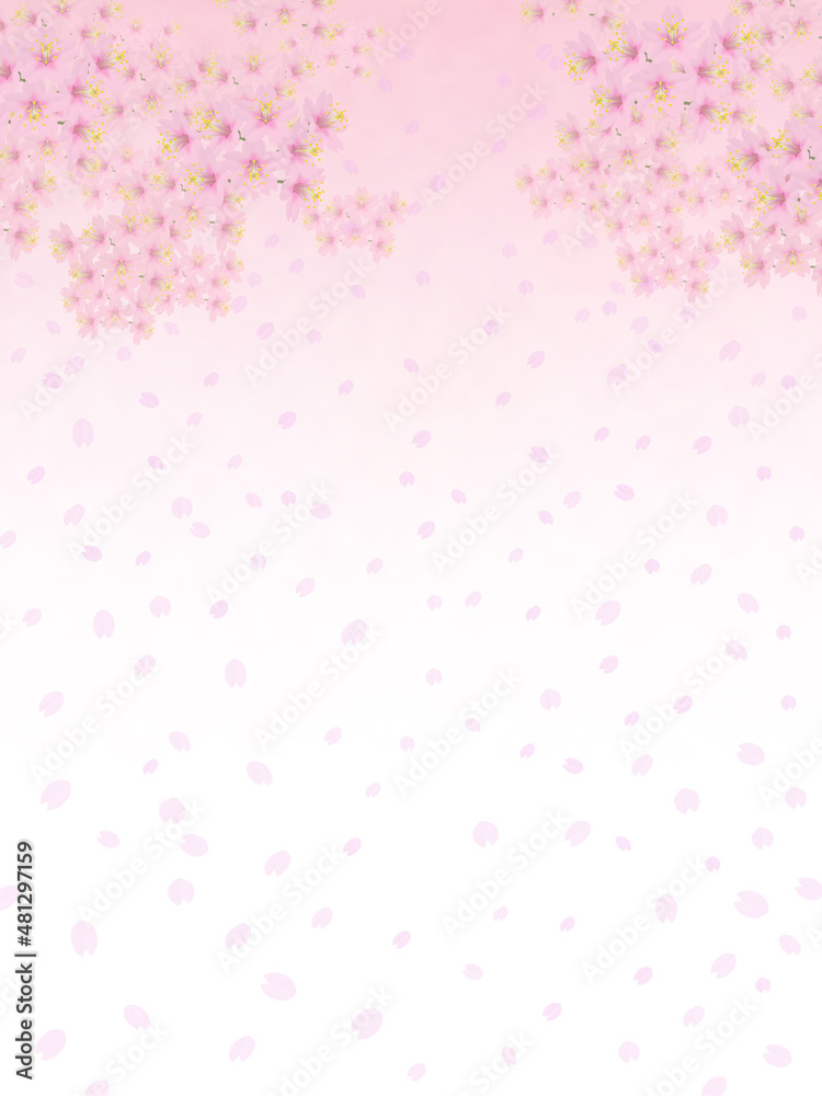 背景イメージ素材 満開の桜と桜吹雪(1) 長方形タテ 背景イメージ素材 満開の桜と桜吹雪(1) 長方形タテ