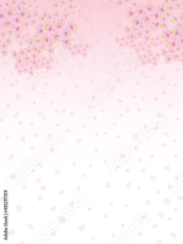 背景イメージ素材 満開の桜と桜吹雪（1） 長方形タテ