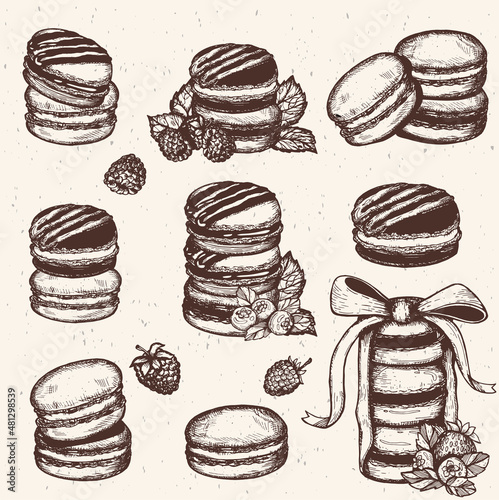 chocolate macaroons vector. macaroons with ribbon sketch. macarons set hand drawing. macaroons collection vector. macaroon wallpaper vector graphics. eps