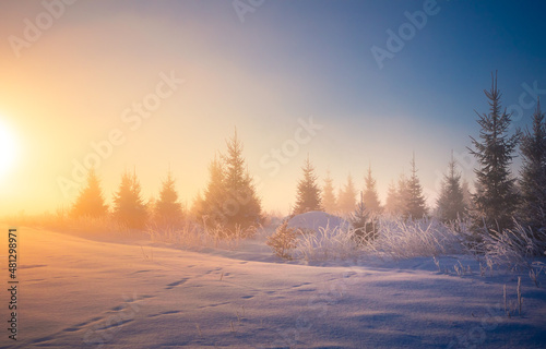 A beautiful golden sunlight in a snowy winter morning in Northern Europe rural areas. Winter landsape with trees. © dachux21