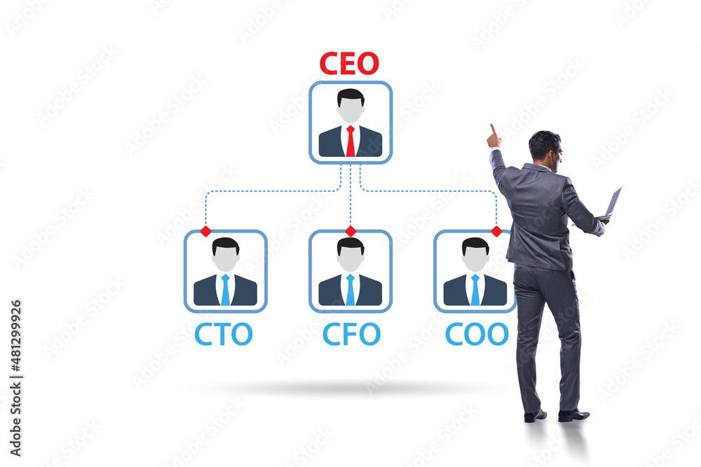 Illustration of organisation chart with various executives Illustration of organisation chart with various executives
