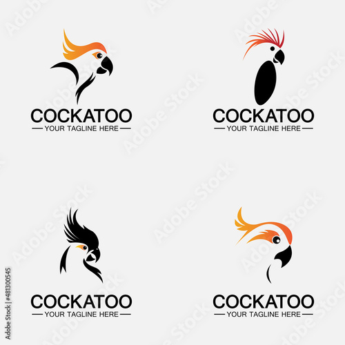 Set Cockatoo Parrot Bird logo design vector template