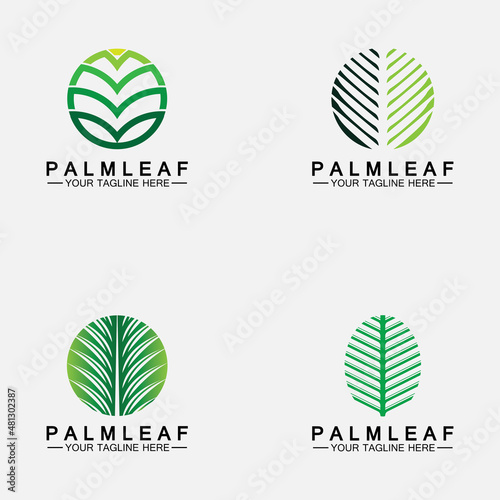 Set Tropical Palm leaf logo vector design template