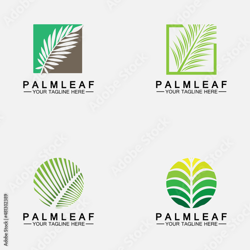 Set Tropical Palm leaf logo vector design template