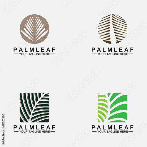 Set Tropical Palm leaf logo vector design template