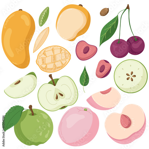 Fototapeta Naklejka Na Ścianę i Meble -  A set of fruits drawn in a flat style, slices and halves of fruit, leaves and bones. A set of stickers in pastel colours. Vector illustration