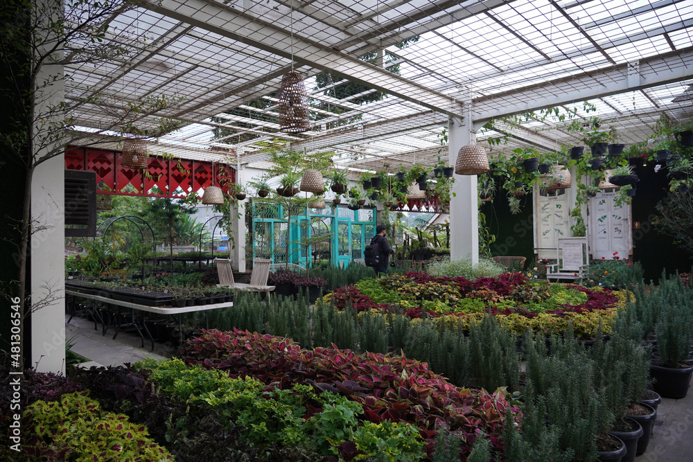 A building full of green plants and flowers A building full of green plants and flowers